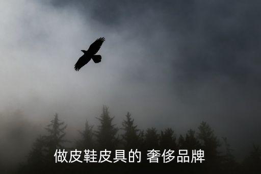 奢侈品時裝鞋,十大奢侈品品牌包括梵laurent