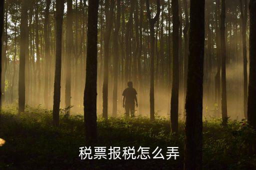  稅票報(bào)稅怎么弄