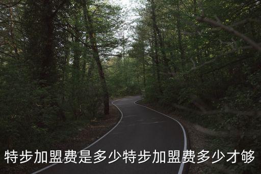 特步加盟費是多少特步加盟費多少才夠