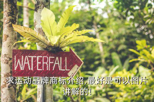 求運動品牌商標介紹,最好是可以圖片講解的!