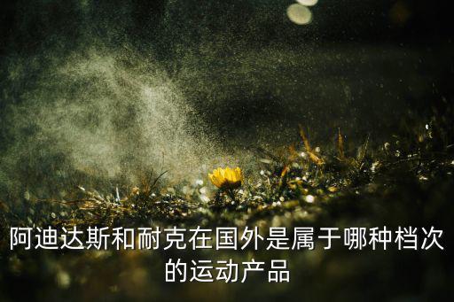 皓迪體育用品怎么樣,中國十大品牌網(wǎng)站名單出爐耐克排名第二