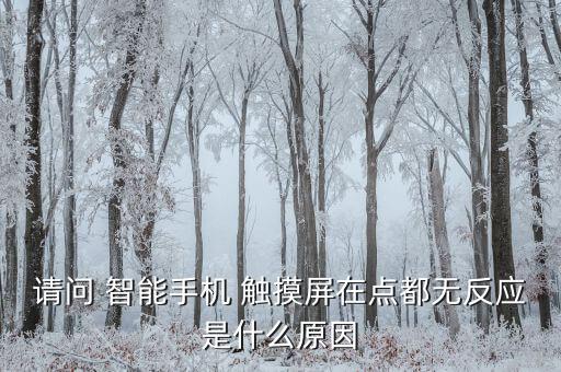 智能觸摸屏,手機(jī)觸摸屏動(dòng)不了怎么辦?可換屏幕或觸摸ic