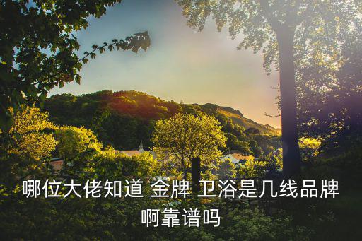 金牌衛(wèi)浴品牌介紹,陶瓷衛(wèi)浴高峰論壇十大中國(guó)品牌對(duì)比圖