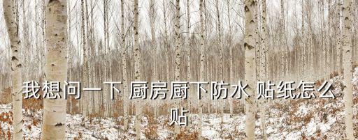 我想問一下 廚房廚下防水 貼紙?jiān)趺促N
