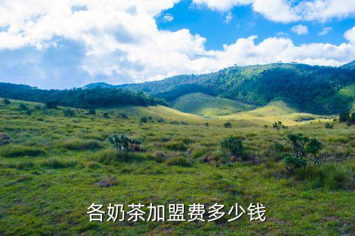 各奶茶加盟費多少錢