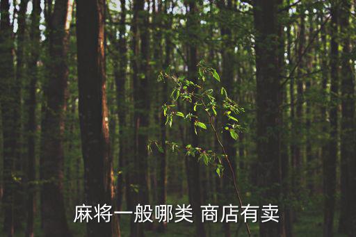 麻將一般哪類 商店有賣