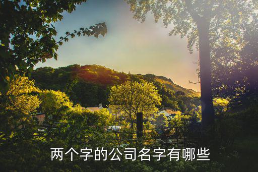 兩個(gè)字好聽(tīng)的企業(yè)名稱(chēng),10家中國(guó)上市公司被列為十大股東之一