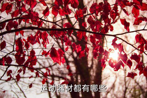 體育用品推薦會(huì)內(nèi)容有哪些,健身器材知多少?問(wèn)與答（18）
