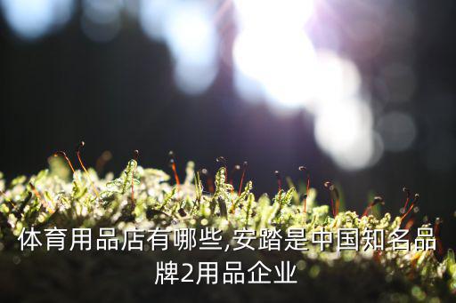 知名體育用品店有哪些,安踏是中國知名品牌-2用品企業(yè)
