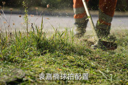 乒乓球拍正膠圖片,膠水速度快但控制不好反膠粘性不強
