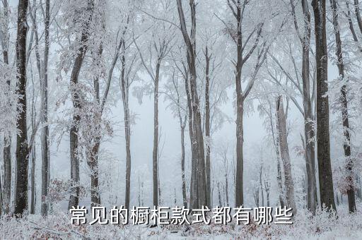 常見的櫥柜款式都有哪些