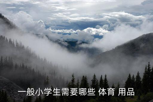 一般小學(xué)生需要哪些 體育 用品