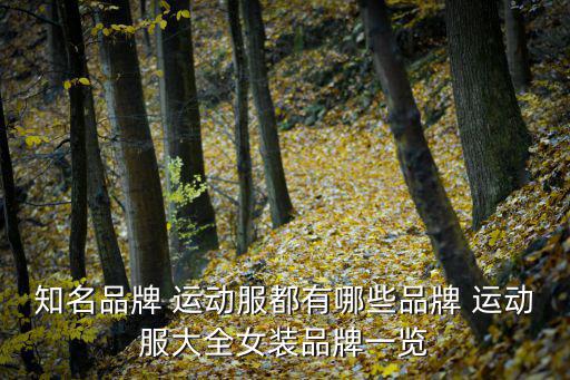 知名品牌 運(yùn)動(dòng)服都有哪些品牌 運(yùn)動(dòng)服大全女裝品牌一覽