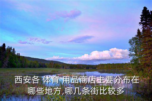 西安體育用品店有哪些,世紀(jì)金花擁有西北最大的阿迪達(dá)斯專賣(mài)