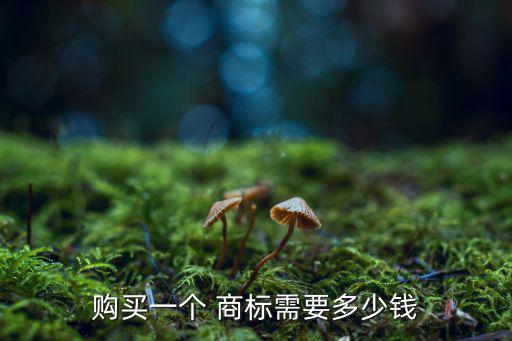 買一個商標大概要多少錢,轉(zhuǎn)會費商標轉(zhuǎn)會需要注意什么?