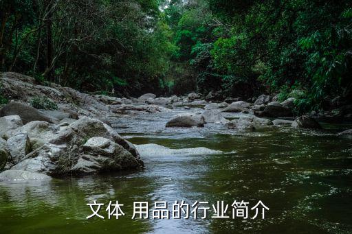 文體用品有哪幾種,體育用品和運動用品之別