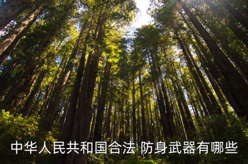 個人防身用品槍,以色列格斗技能可變身防身武器殺人