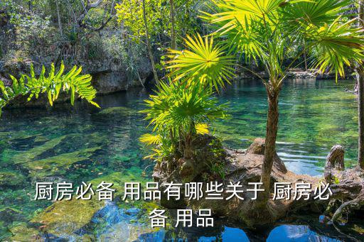  廚房必備 用品有哪些關(guān)于 廚房必備 用品
