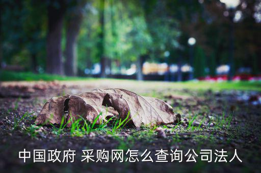采購(gòu)網(wǎng)官方網(wǎng)站,中國(guó)bidding網(wǎng)站招標(biāo)分為兩種查詢方式