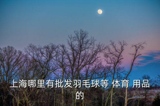 上海市哪里有賣體育用品