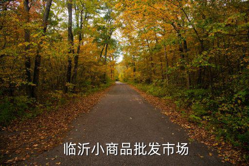  臨沂小商品批發(fā)市場(chǎng)
