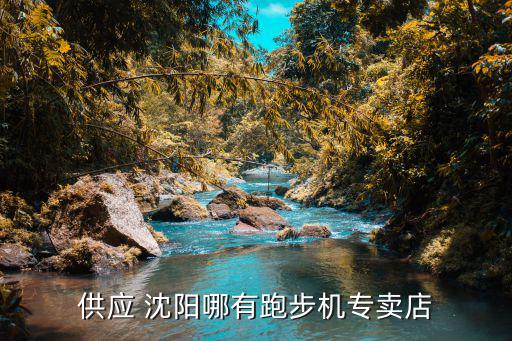 沈陽(yáng)哪賣(mài)體育健身器材的,什么牌子的跑步機(jī)好命?