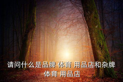 請問什么是品牌 體育 用品店和雜牌 體育 用品店