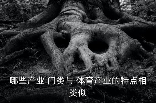 體育用品市場有哪些門類,體育行業(yè)包括體育產(chǎn)業(yè)和體育服務(wù)業(yè)