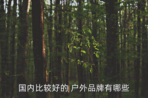 戶外登山套裝品牌排行,探路者是探山者電影獨(dú)家贊助商