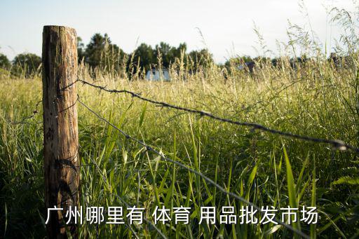 廣州有哪些體育用品廠,廣州體育用品批發(fā)市場(chǎng)00運(yùn)動(dòng)用品零售