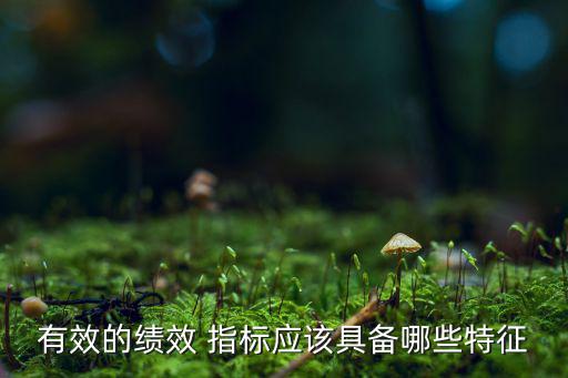 有效的績效 指標應該具備哪些特征