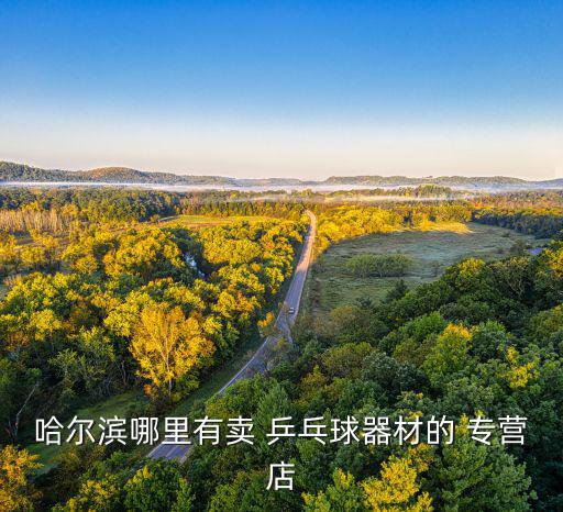 哈爾濱哪里有賣 乒乓球器材的 專營店