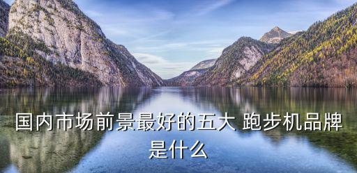 跑步機(jī)體育用品哪個好,鞋底跑步機(jī)哪個牌子好?