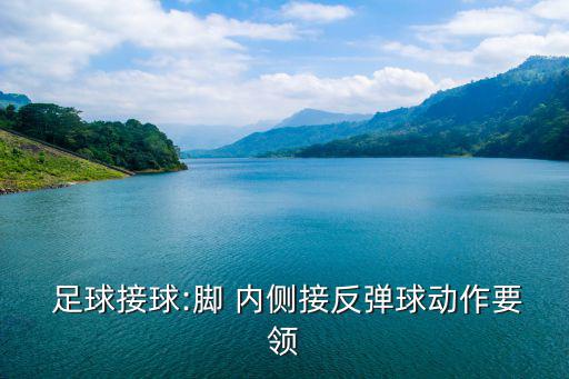 小學小足球腳內(nèi)側(cè)傳接球教案,足球接球要領(lǐng)教給你
