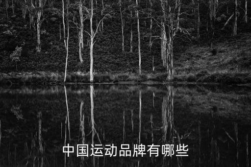 中國運(yùn)動(dòng)品牌有哪些
