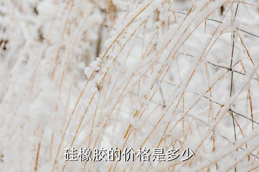 體育用品硅膠價(jià)格多少,透明和高彈性硅膠等級不同價(jià)格也不同