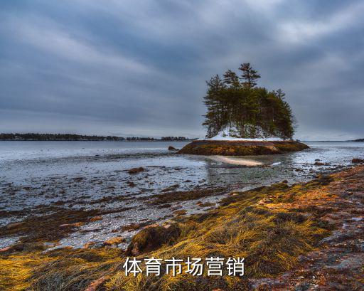  體育市場營銷