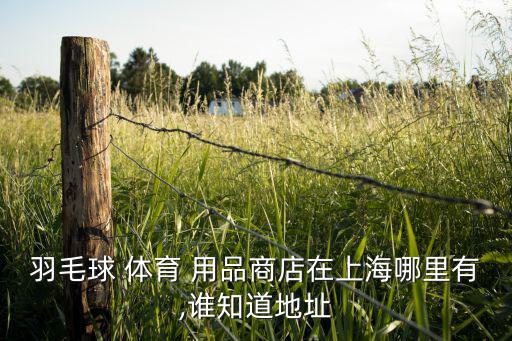 博寬體育用品店怎么樣,博悅體育用品有限公司旗下運(yùn)動品牌