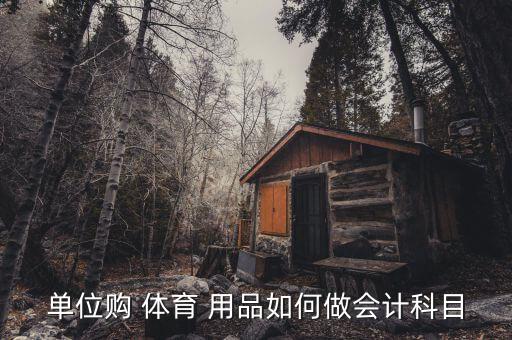 單位購 體育 用品如何做會計科目
