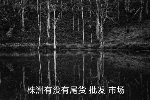  株洲有沒有尾貨 批發(fā) 市場