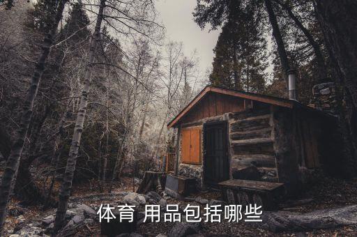 體育用品畫(huà)場(chǎng)地用的是什么,體育用品包括運(yùn)動(dòng)飲料和體育書(shū)報(bào)等