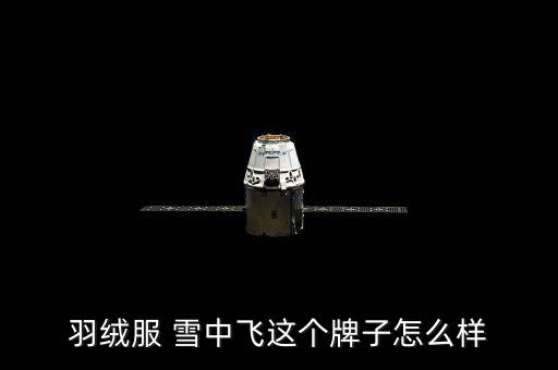 雪中飛商標,雪中飛羽絨服質量可靠款式好看價格比高