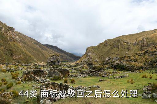 44類 商標(biāo)被駁回之后怎么處理