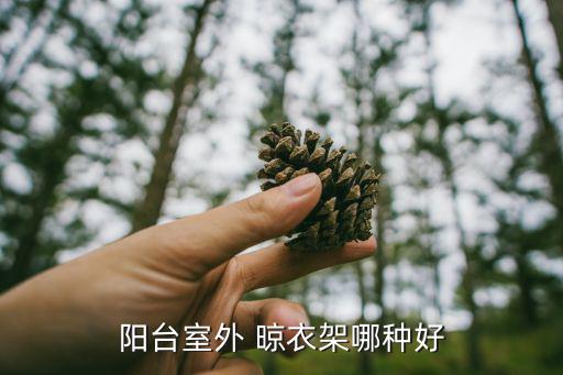 陽臺(tái)室外 晾衣架哪種好
