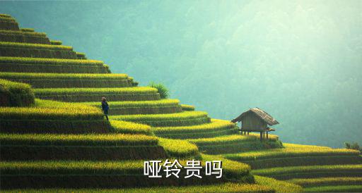 體育用品店啞鈴多少錢,如何買正版啞鈴?注意事項(xiàng)