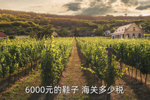 體育用品海關(guān)收多少稅,海關(guān)規(guī)定入境郵包限額為1000元以?xún)?nèi)