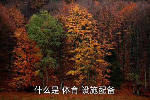 什么是 體育 設(shè)施配備