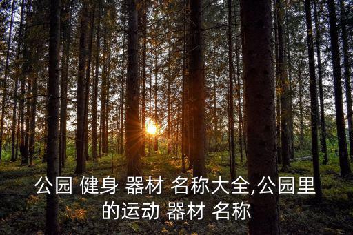 公園 健身 器材 名稱大全,公園里的運動 器材 名稱