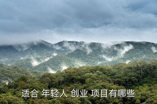 年輕人創(chuàng)業(yè)項目排行榜,創(chuàng)業(yè)項目