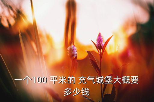 一個100 平米的 充氣城堡大概要多少錢